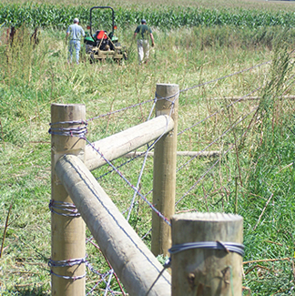 Fence Posts